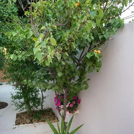 Holiday home House Euphoria Kalamaki (Heraklion)